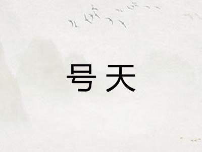 号天