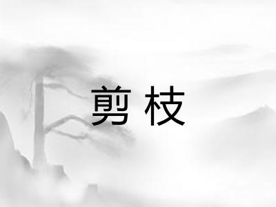 剪枝