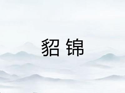 貂锦