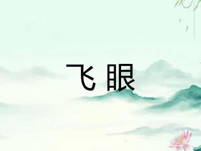 飞眼