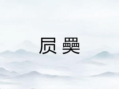 屃奰