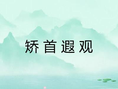 矫首遐观