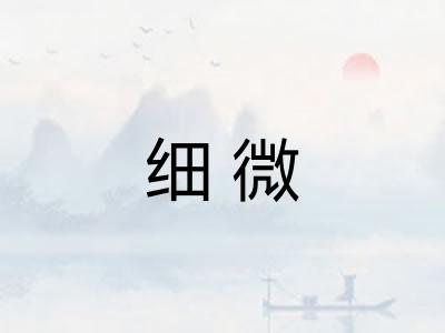 细微