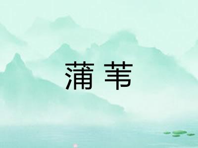 蒲苇