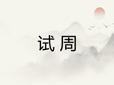 试周
