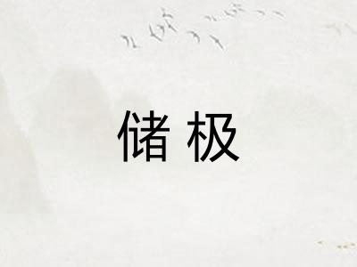 储极