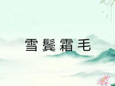 雪鬓霜毛
