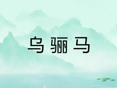 乌骊马