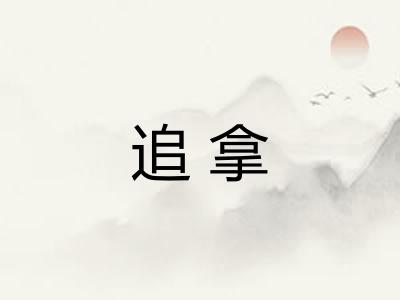 追拿