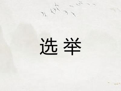 选举