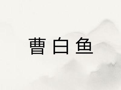 曹白鱼