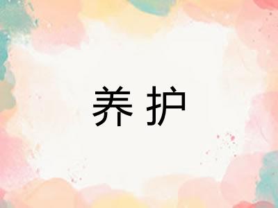 养护