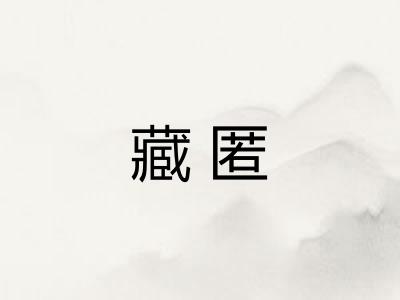 藏匿
