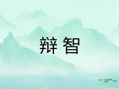 辩智