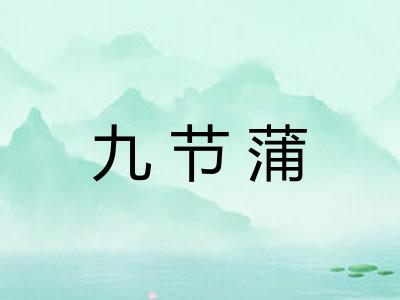 九节蒲