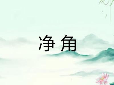 净角