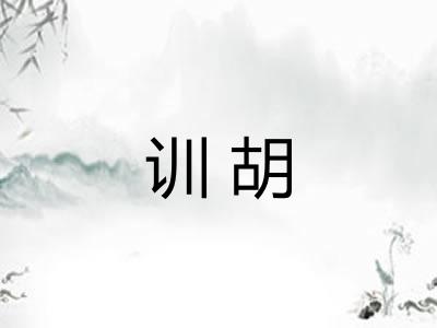 训胡