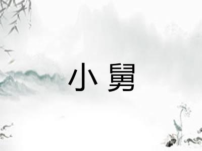小舅