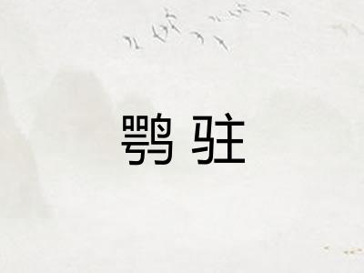 鹗驻