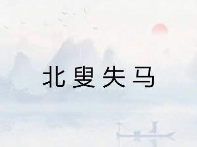 北叟失马