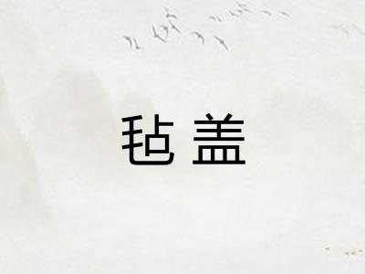 毡盖