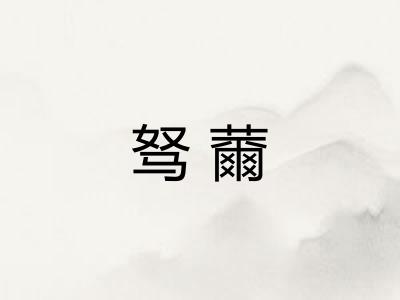 驽薾