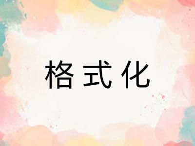 格式化