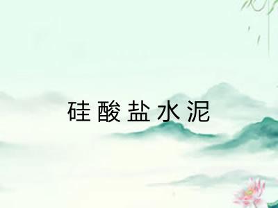硅酸盐水泥