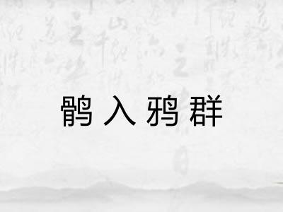 鹘入鸦群