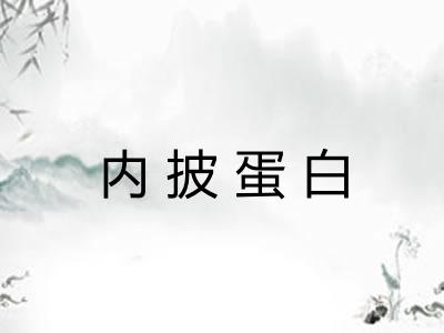 内披蛋白