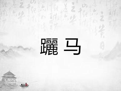 躧马