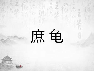 庶龟