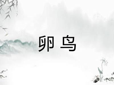 卵鸟