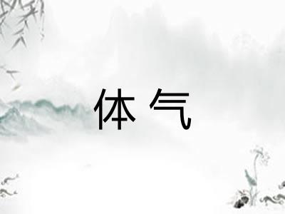 体气