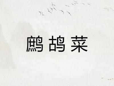 鹧鸪菜