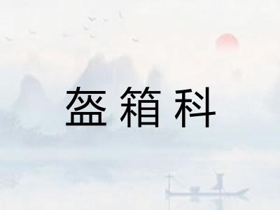 盔箱科