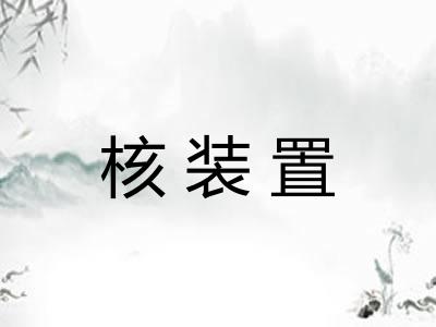 核装置