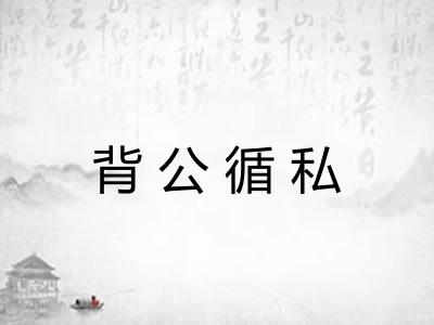 背公循私
