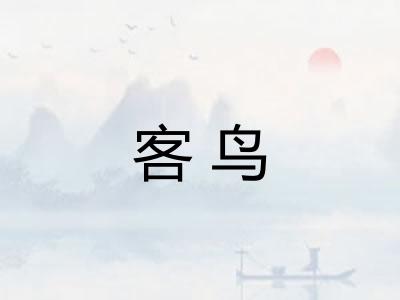 客鸟