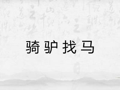 骑驴找马