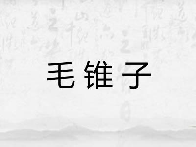 毛锥子