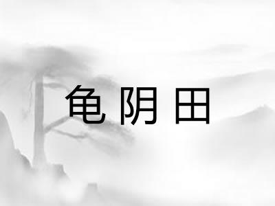 龟阴田