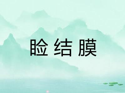 睑结膜