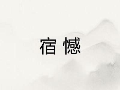 宿憾