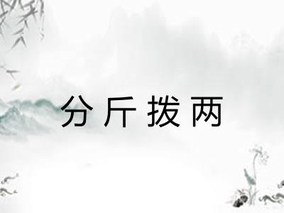 分斤拨两