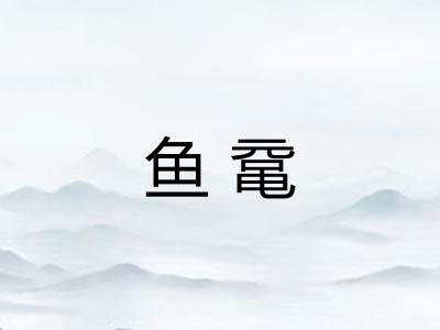 鱼鼋