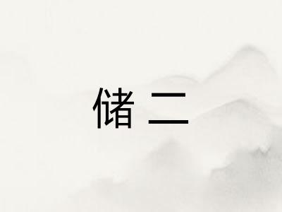 储二