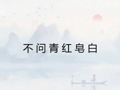 不问青红皂白