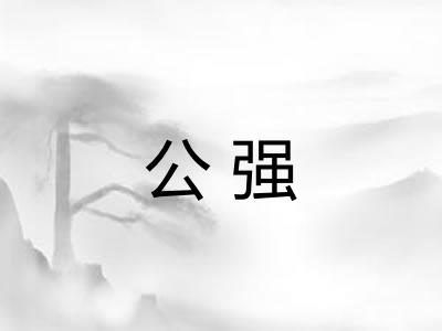 公强