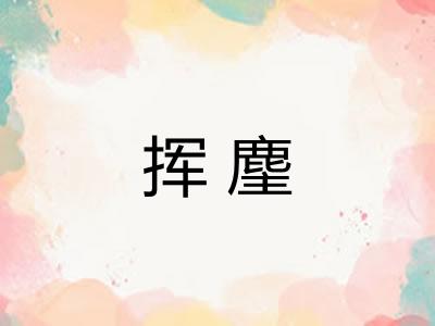 挥麈